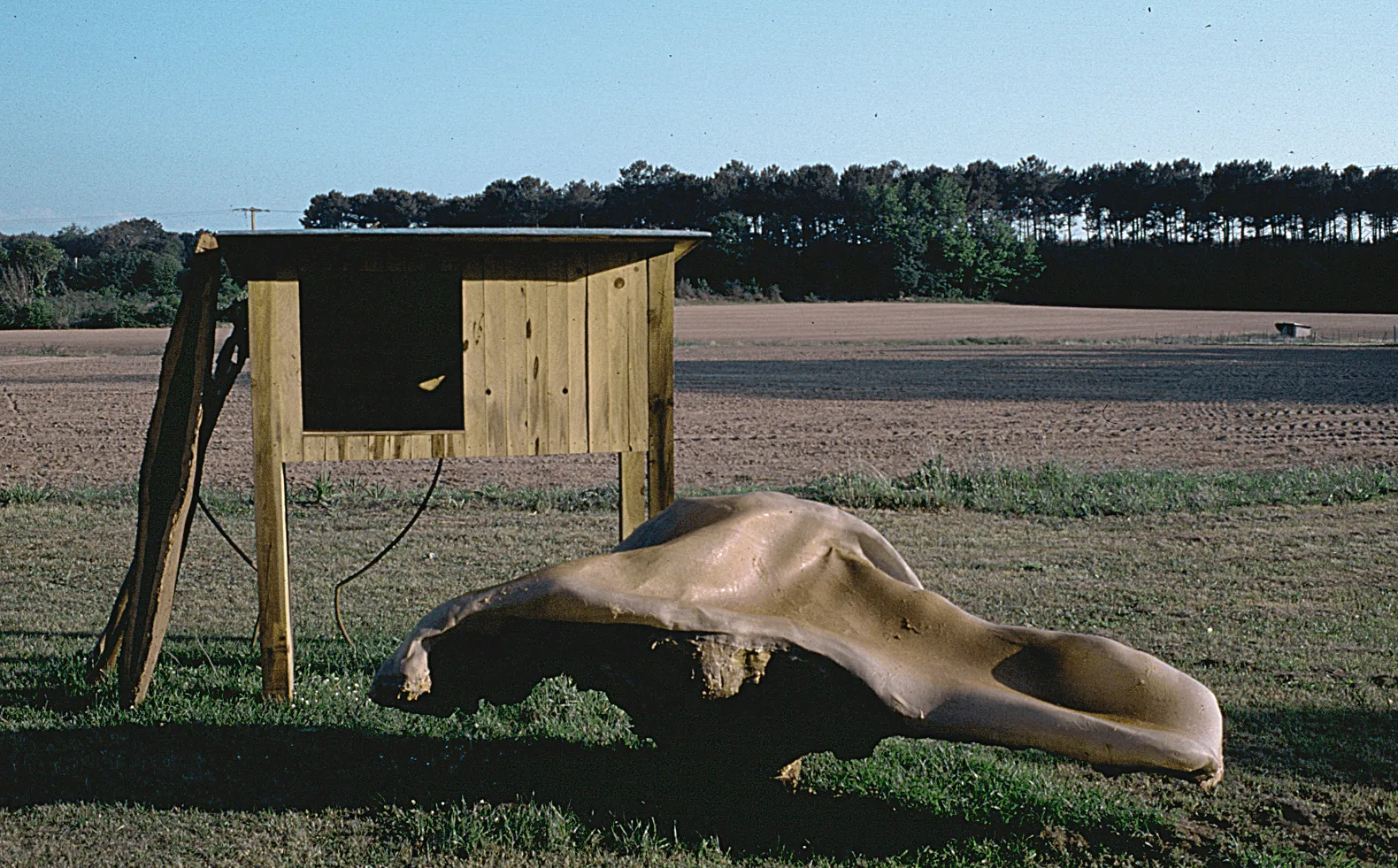 "Le Cadran" St Geours de Marenne, 1999