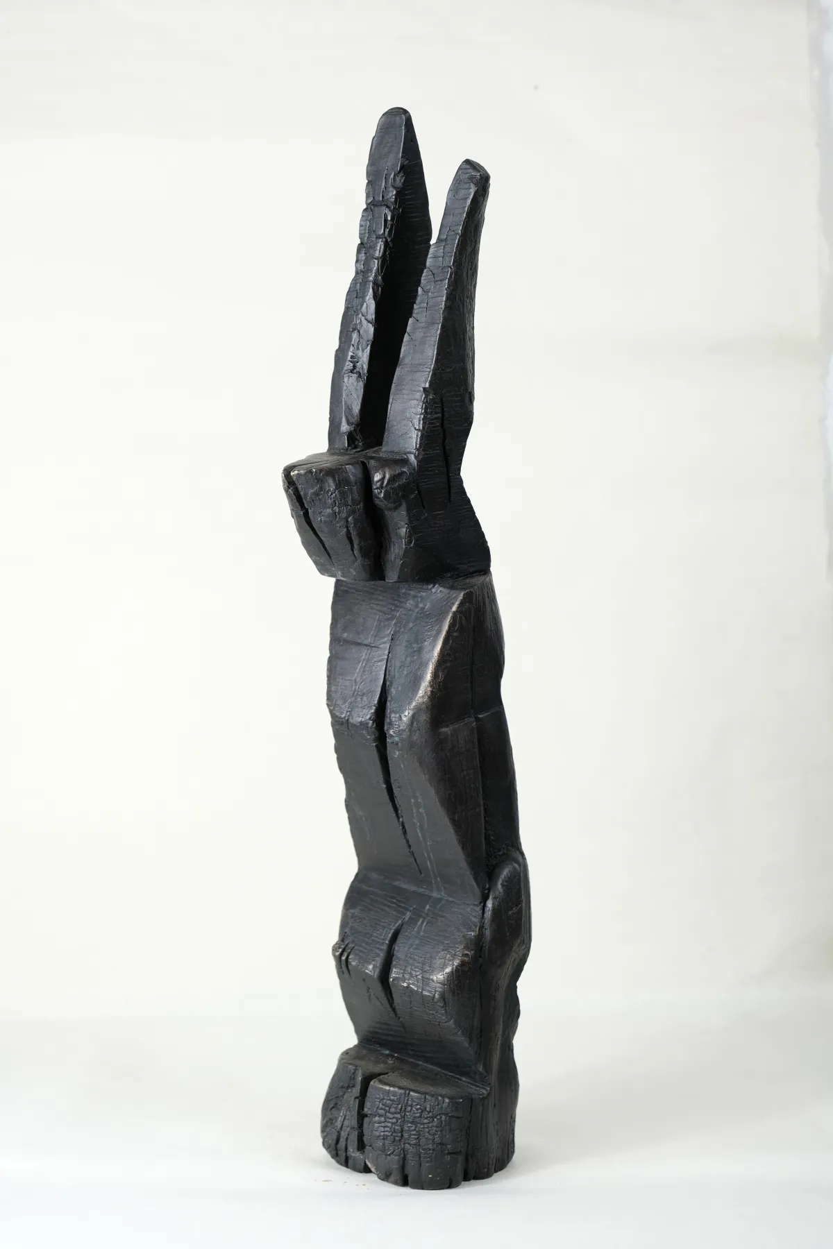 Lièvre Z noir