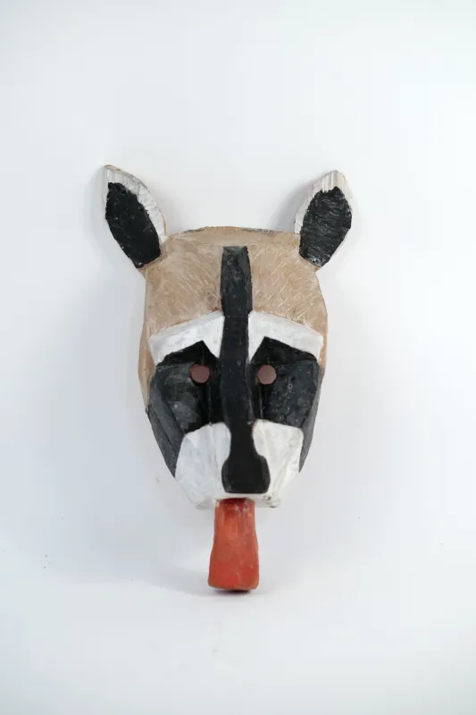 Raccoon mask