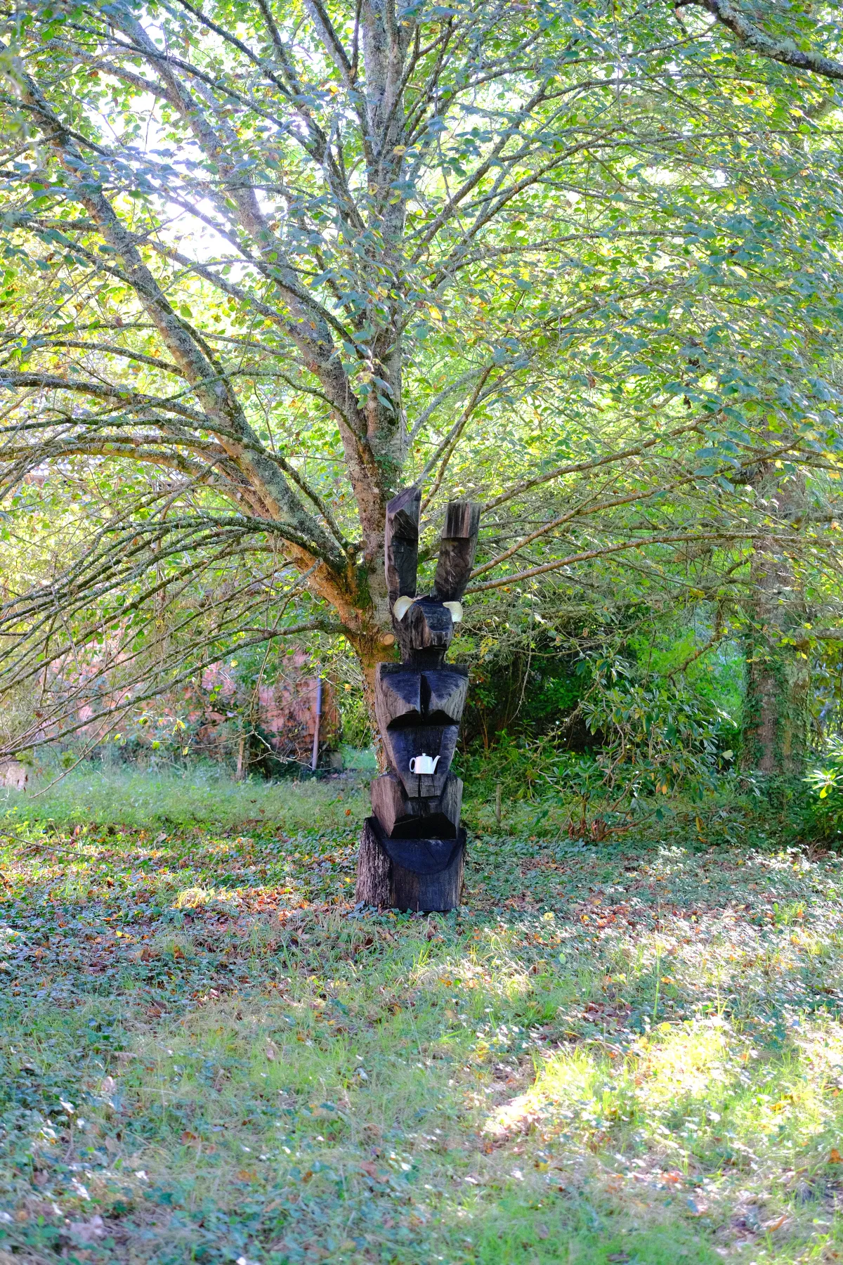 Lièvre noir