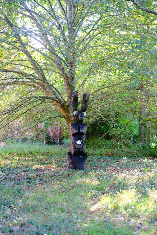 Lièvre noir